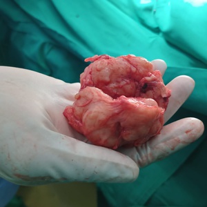  Doctor Mauricio Zelaya Reinosa