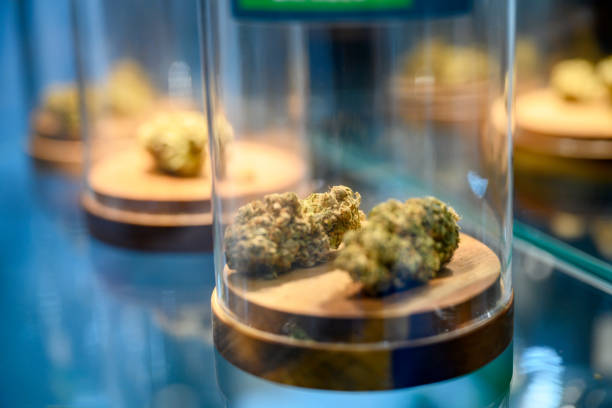 When Does Recreational Marijuana Start in Colorado