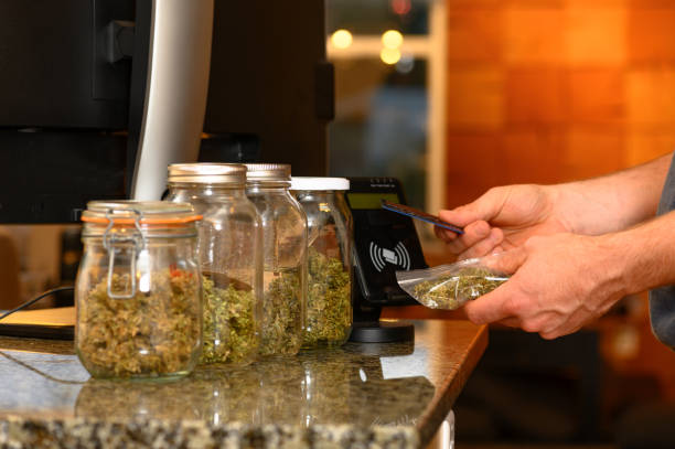 How to Work in a Medical Dispensary in Boulder
