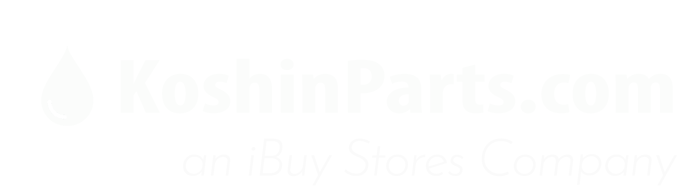Koshin High Pressure Pump Repair Parts