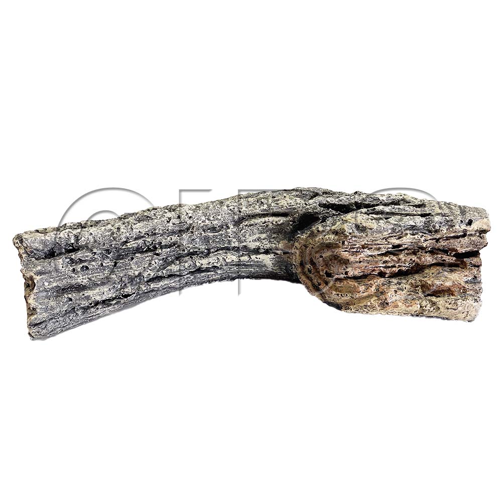 304318MON LOG #3-24 RIGHT MIDDLE