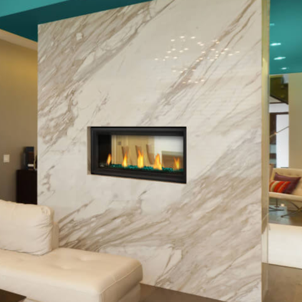 Napoleon Vector See Through Direct Vent Gas Fireplace