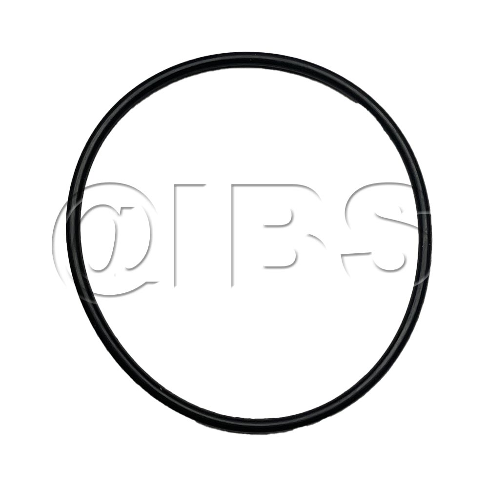 419-747 Hydraulic Motor Seal Replacement Kit | WycoParts.com