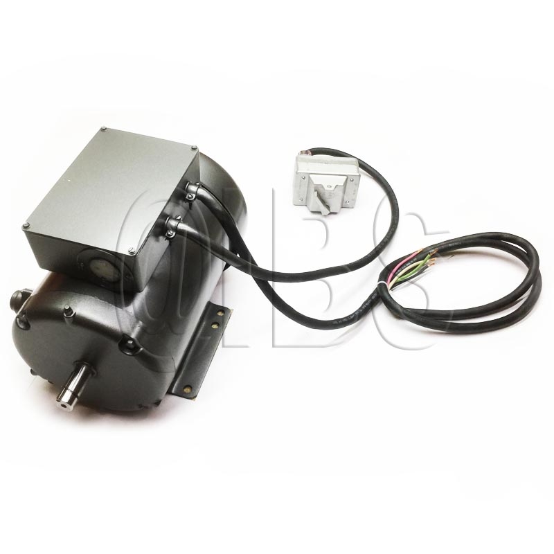 Norton BBL7247-MOTOR Motor Assembly Parts | NortonParts.com