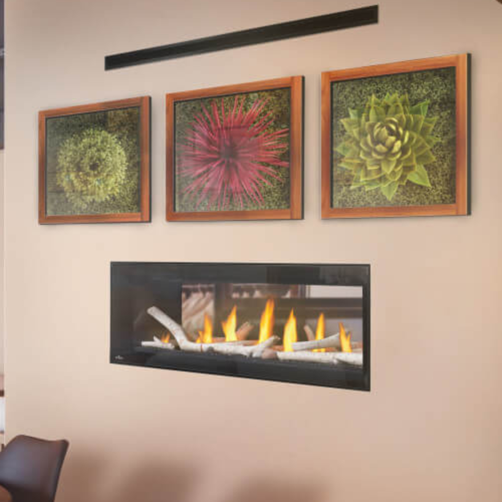 Napoleon Luxuria See-Thru Series of Linear Gas Fireplace