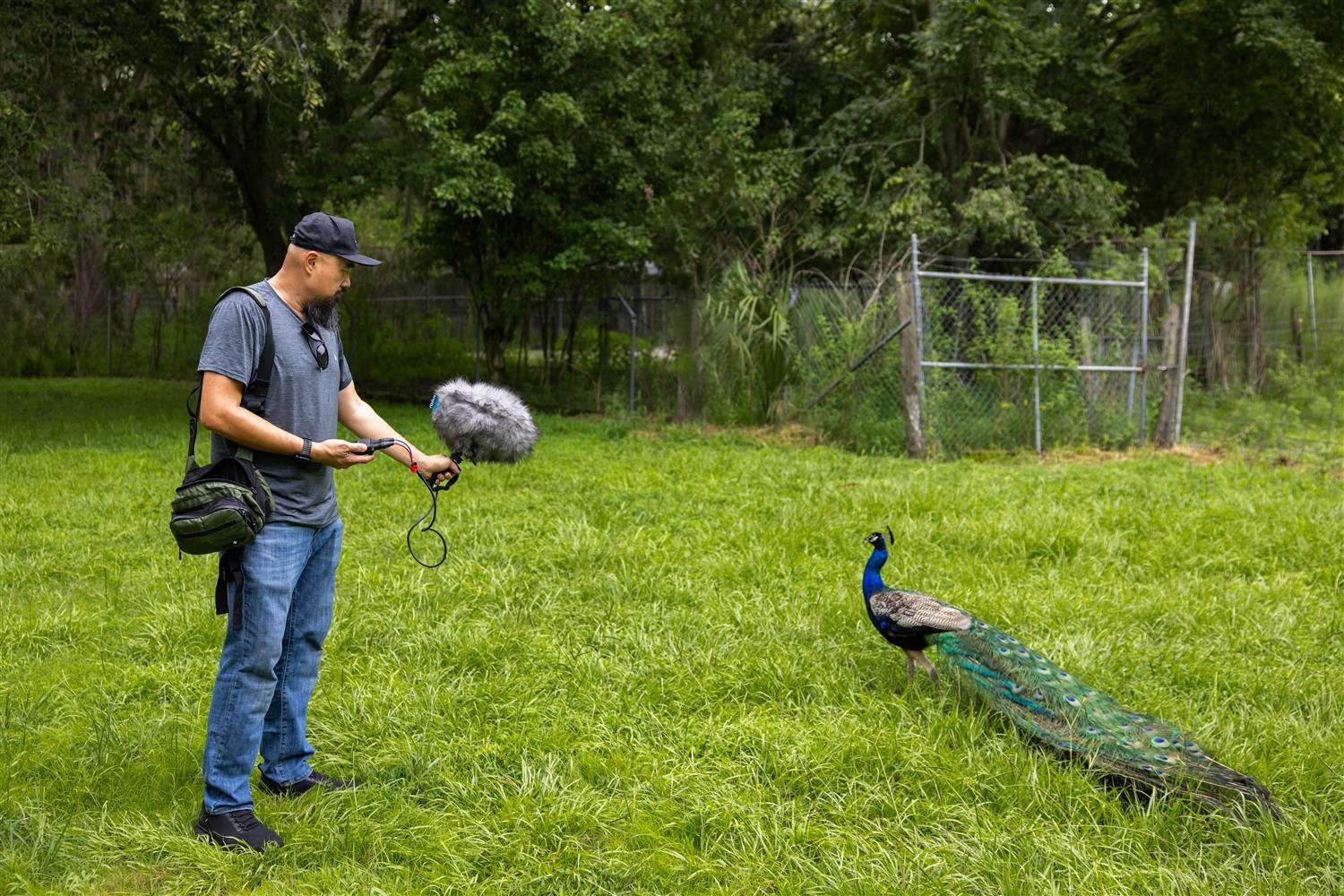 Zoom H1 XLR Handy Recorder 32-bit Float Recorder with Dual XLR Inputs