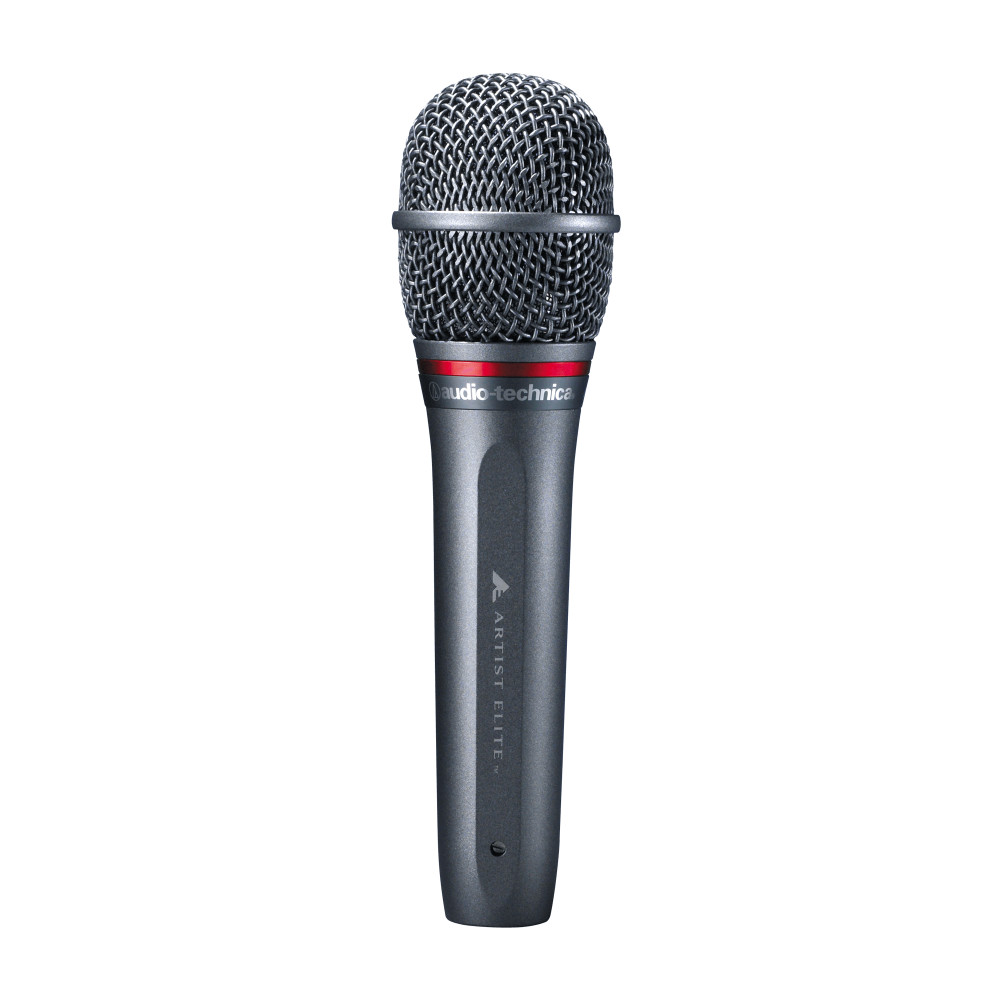 Audio-Technica AE6100 Handheld Hypercardioid Dynamic Vocal Microphone