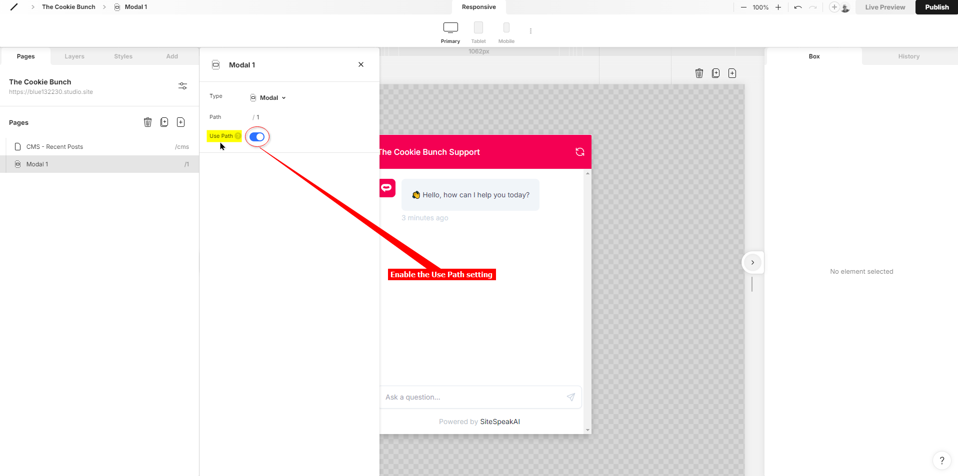 10 - Studio - enable the Use Path setting.png