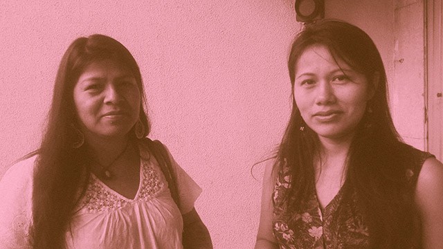 Mulheres Indígenas
