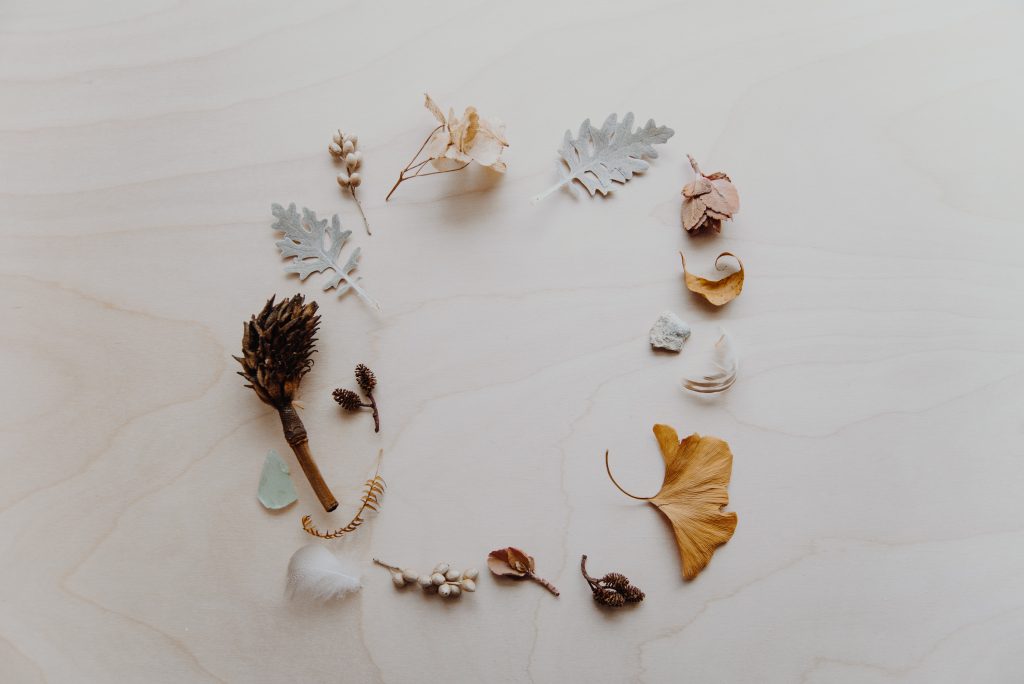 evie shaffer 570183 unsplash