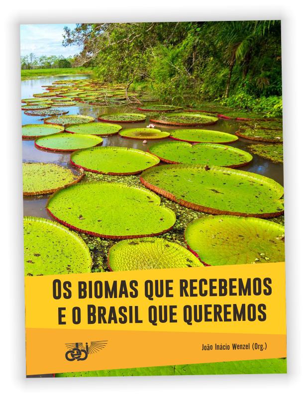 Dentro do contexto do Brasil que queremos