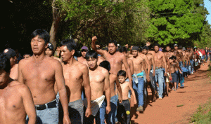 Marcha indígena
