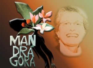 Revista Mandragora lança edição virtual sobre Ivone Gebara
