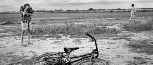 Fotógrafo registra males causados por agrotóxicos e transgênicos