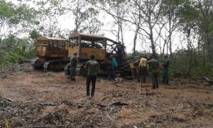 Apinajés bloqueiam rodovia no TO pelo fim do desmatamento em área reivindicada como indígena