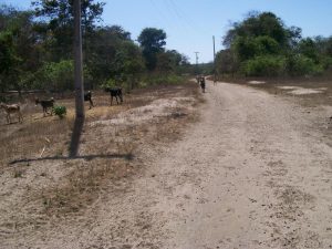 Seca no Nordeste: como a Bíblia pode ajudar?