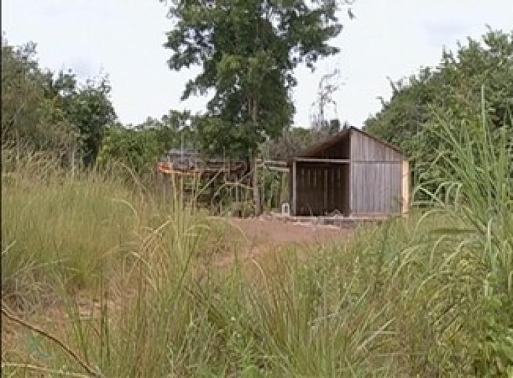 De quem é a responsabilidade pela chacina em Conceição do Araguaia? 1 De quem é a responsabilidade pela chacina em Conceição do Araguaia?
