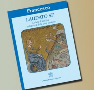 Nova Encíclica do papa Francisco pede conversão ecológica