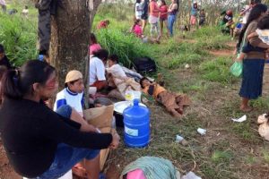 Crianças Guarani e Kaiowá desaparecidas depois de ataque de fazendeiros são encontradas no MS