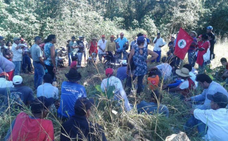 Cerca de 300 famílias ocupam latifúndio no Mato Grosso