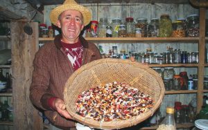 Produção orgânica se viabiliza como garantia de soberania alimentar