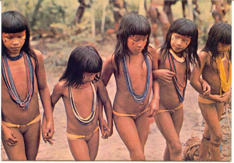 Cimi protocola denúncias contra ataques químicos em Tey'i Juçu e intimidações aos Kanela do Araguaia