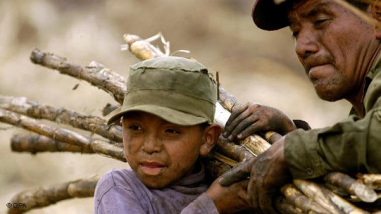Nova “Lista de Transparência” traz 340 nomes flagrados por trabalho escravo