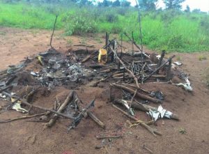 CAMPANHA EM APOIO À RECONSTRUÇÃO DOS LARES INDÍGENAS KURUSSU AMBÁ