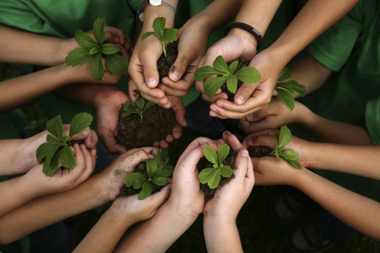 Com crescimento não se alcança a sustentabilidade [Marcus Eduardo de Oliveira]
