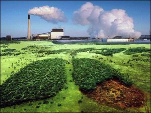 Saneamento básico: Se a terra é nossa casa comum