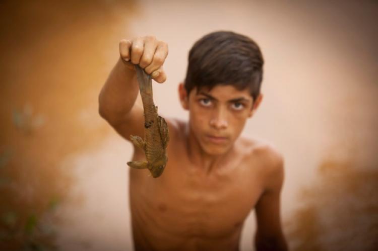 O Rio Doce azedou [Frei Betto]