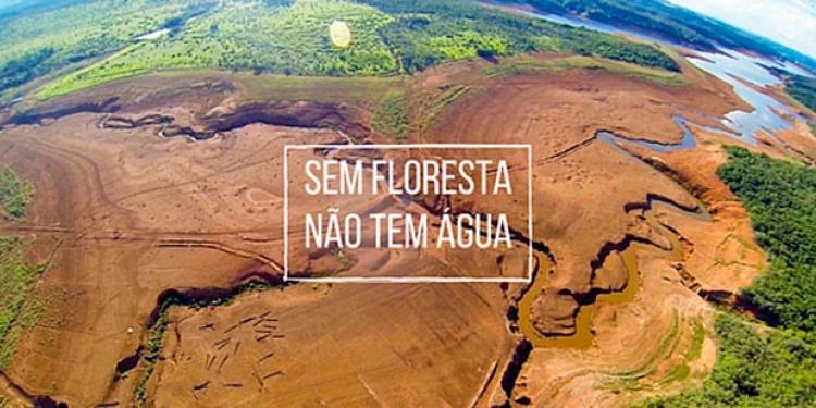 Proteger as florestas é garantir a água da América Latina e Caribe