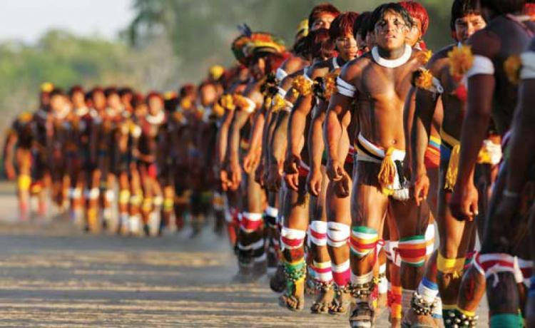 Povos Indígenas no Brasil: 516 anos sofrendo golpes