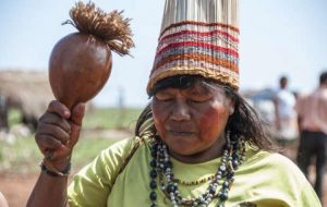 Dia do Índio: Survival lança campanha internacional contra o genocídio dos povos indígenas no Brasil