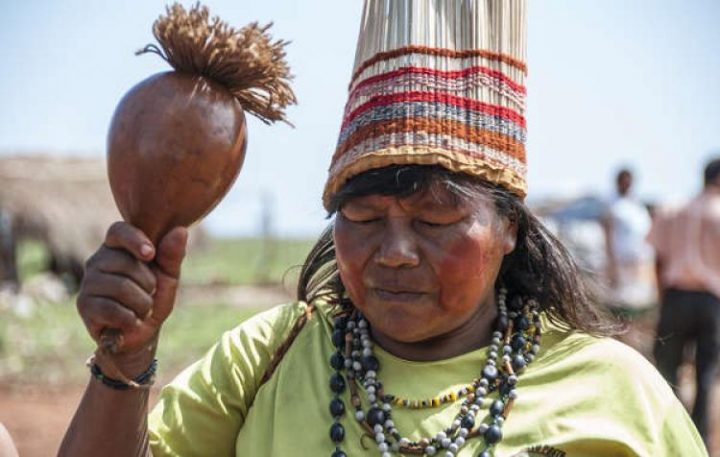 Dia do Índio: Survival lança campanha internacional contra o genocídio dos povos indígenas no Brasil