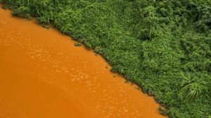 Laudo indica metais cancerígenos na foz do Rio Doce