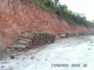 Samarco é flagrada desmatando área de mata atlântica em MG