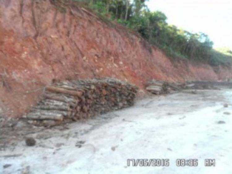 Samarco é flagrada desmatando área de mata atlântica em MG