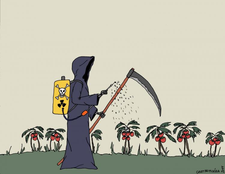Agrotóxicos: 70% dos alimentos in natura consumidos no Brasil estão contaminados