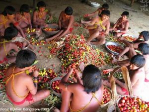 305 etnias e 274 línguas: estudo revela riqueza cultural entre índios no Brasil