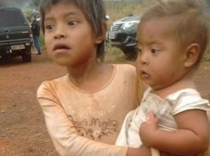 Juiz federal ignora trâmite legal e despeja famílias Guarani Kaiowás em Mato Grosso do Sul