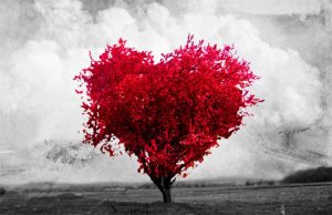 Oração do Amor Próprio