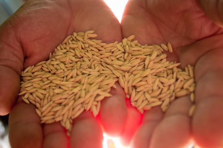Festival da Reforma Agráriaria: uma nova sociedade é possível