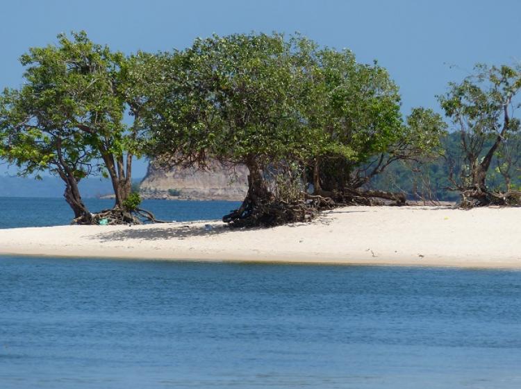 Cancelamento de São Luiz do Tapajós: um passo para o futuro
