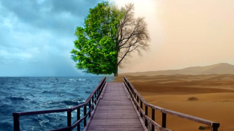 Analfabetismo ambiental e a preocupação com o futuro do planeta