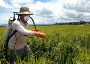 'Epidemia de câncer'? Alto índice de agricultores gaúchos doentes põe agrotóxicos em xeque
