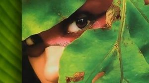 Inscrições para o Curso Online de Justiça Socioambiental do CEBI encerram dia 16