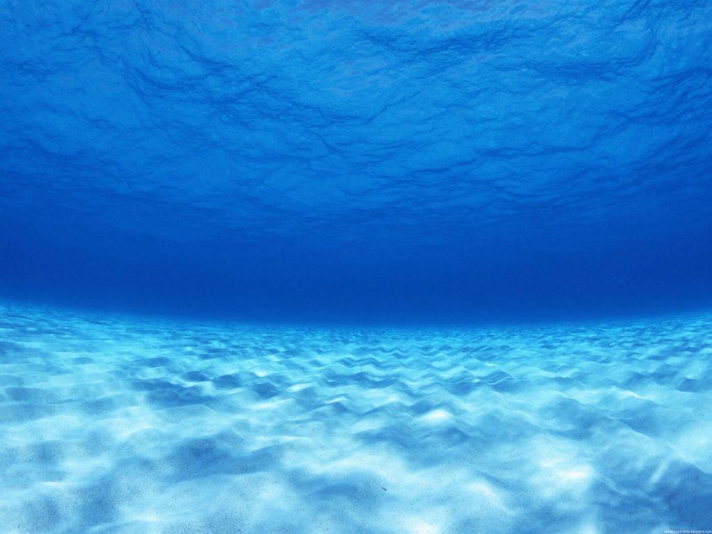 no fundo do mar wallpaper 11617