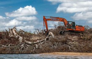 belo monte xingu destrui%C3%A7%C3%A3o