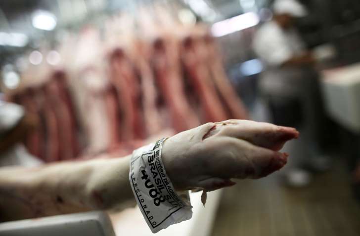 CARNE